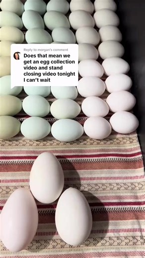 Replying to mini bake sale and egg sale this Friday at the fa... 7484429962460663086 | Alex Mason