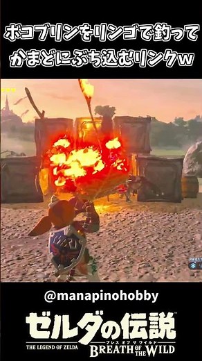 ボコブリン達をかまどにぶち込む厄災リンクｗｗ【ゼルダの伝説 ブレス オブ ザ ワイルド】