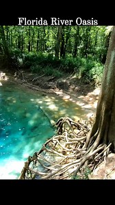 98K views · 2.2K reactions | The real Florida  #florida #spring #springbreak | Florida Panhandle Springs and Fossils | Facebook