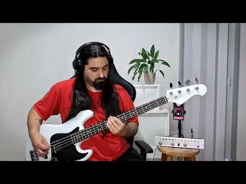 Evanescence Take Cover | Bass Cover