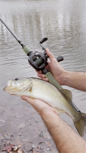 Would you build with FishSkins on your next custom rod?🎣🔥 FishSkins grips are here at Mud Hole, bringing bold fish-inspired designs with advanced polymer performance for serious builders. Durable, tacky, and made to stand out on the water and on the rack. #MudHole #FishSkins #CustomRodBuilding #RodBuildingLife #FishingGear | Mud Hole Custom Tackle