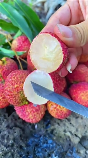 motivational video..#motivation #facts #success