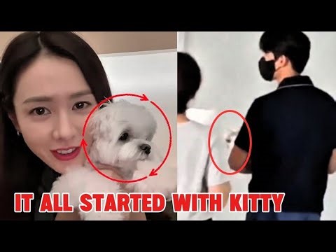 The "Kitty" Secret: Why Hyun Bin and Son Ye-jin’s Love is Built to Last