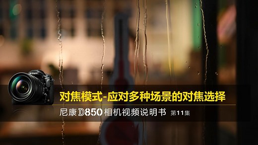 尼康D850视频教程对焦模式|尼康D850说明书第11集
