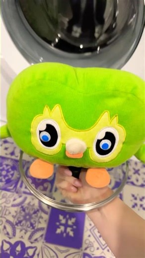 Nothing Changed After This 😶🦉