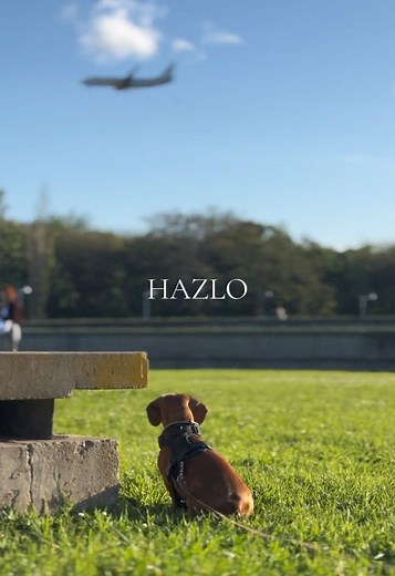HAZLO: La alegría de vivir con Otto Salchi