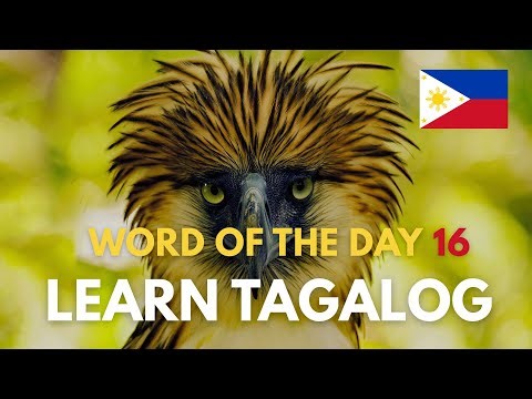 TAGALOG WORD OF THE DAY🤔💭DISCOVER THE BEAUTY OF THE FILIPINO LANGUAGE VIDEO 16