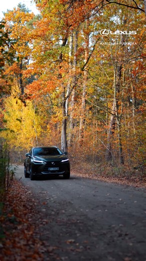 🍂 Lexus NX 450h dysponuje mocą 309 KM, co przekłada się na przyspieszenie od 0 do 100 km/h w 6,3 s, a jego zasięg na silniku elektrycznym to aż 90 km! Przetestuj go w naszym salonie: 📌Lexus Warszawa-Puławska, Puławska 562 📧info@lexuswarszawa-pulawska.pl 📞22 117 66 56 | Lexus Warszawa Puławska