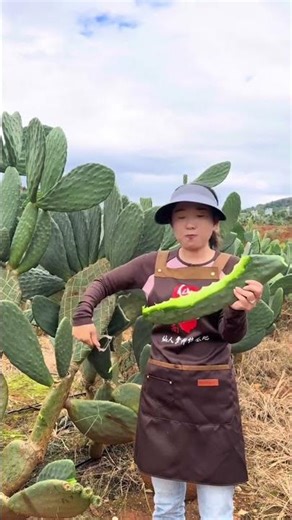 🌵 TIPS FOR GROWING SWEET EDIBLE CACTUS