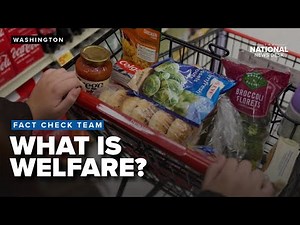 What is welfare? Controversy with the temporary assistance program