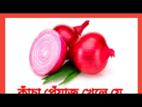 Assalamu Alaikum wa Rahmatullahi wa Barakatuhu..Please like and subscribe to my channel 🤲🤲🤲...