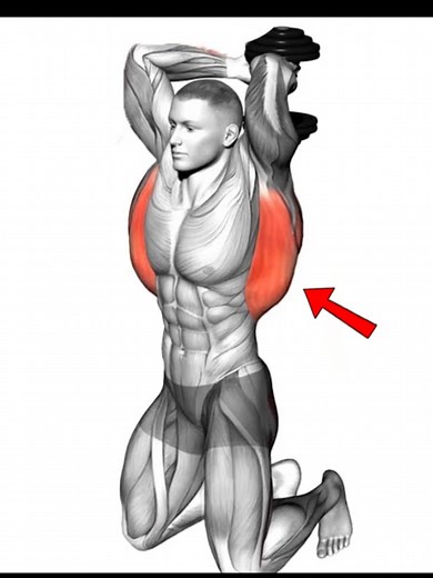 5 Back Exercises to Build a Wide & Strong Back