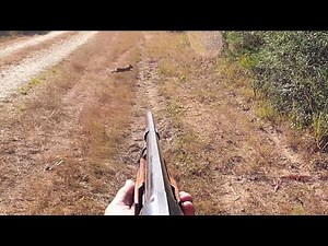 Solo Rabbit Hunt With The Pups!!