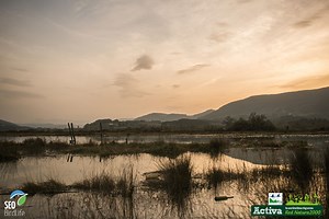 Zonas litorales y marismas de Urdaibai - Avance