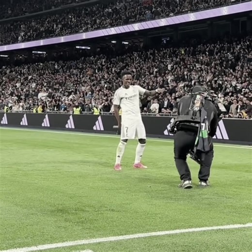 Vini is Back: Highlights and Moments