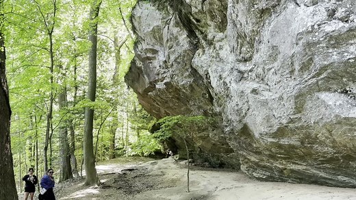 Scenes from a hike at Raven Rock State Park