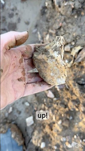 Large Tool #arrowhead #rockhounding #arrowheadhunting #artifacts #artifacthunting #nativeamerican