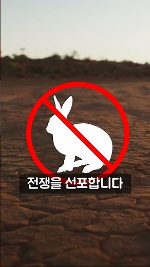 토끼와 군대까지 동원해 전쟁중인 호주