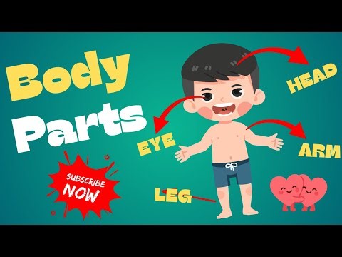ABC with Body Parts for Kids | Learn Alphabet & Body Parts | Jolly ABC TV
