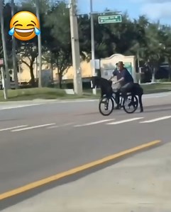 65K views · 938 reactions | Giddy Up!  | HotRodHarrys.com | Facebook