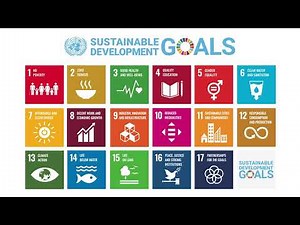 SDG Logo animation for Kaduna State BPC