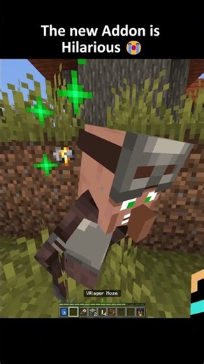 Top 5 Unhinged Minecraft villager moments