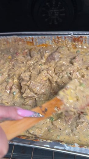 Sacha Lopez on Instagram: "Jerk Chicken Rotel🤤 • Grocery List: Chicken thighs Walkerswood green seasoning Walkerswood jerk seasoning Velveta cheese Cream cheese Mozzarella cheese Cheddar jack cheese Onions Jalapeño Rotel • #cookingathome #recipeideas #recipevideo #explore #sachafierce_"