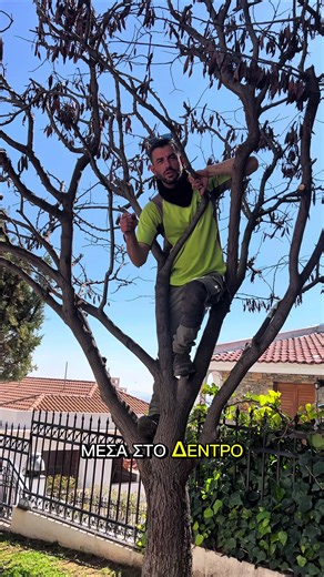 Κλάδεμα κουτσουπιας#vamagardens #κηπος #φυτα #fyp #δεντρα