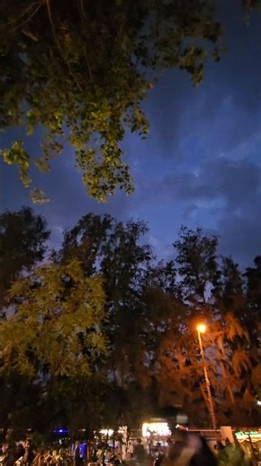 Plants lover🫶🌱#love#plants#nature#trending#ytshorts#shorts#life#peace#gardening#terracegarden#life