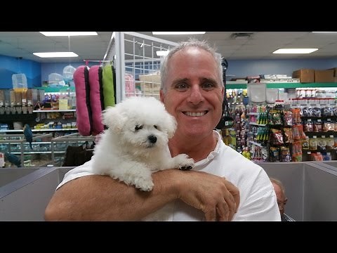 7-Day Puppy Housetraining Lessons