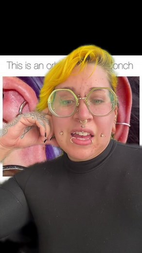 Orbital vs Conch: Understanding the Key Differences