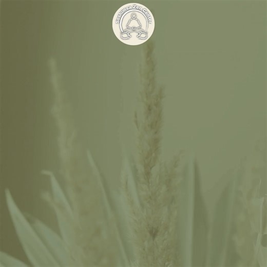 Join us for free meditation classes on Mondays at 6 pm. In person or via Zoom. For more details, visit SOSHIMSA.ORG | Soshimsa Zen Center | Facebook