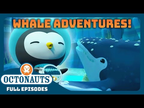‪@Octonauts‬ - 🤿 Incredible Whale Adventures 🐋 | World Whale Day | 90 Mins+ Full Episodes Marathon