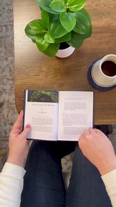 Prepare Him Room: A Daily Advent Devotional and Christmas Bible Study – Thoughtful Christian Gift for the Holiday Season