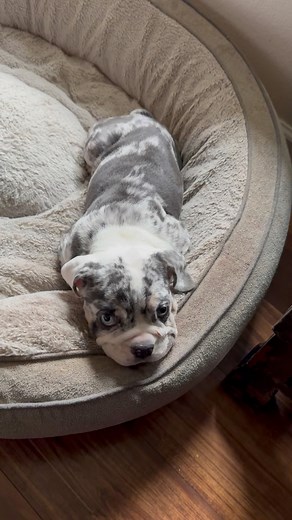 UPDATE! UPDATE! | Tabitha Jefferson Moore