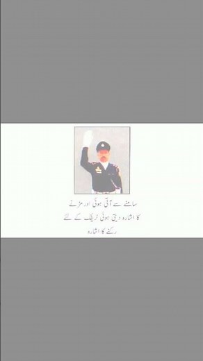 Traffic Police Hand Signals | Driving Guide for All Countries