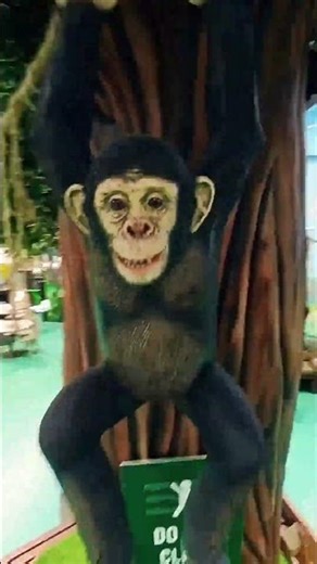 Ready Set Go Play Area #kids #readysetgo #birthdaypartyideas #dothingsyoudontwanttodo