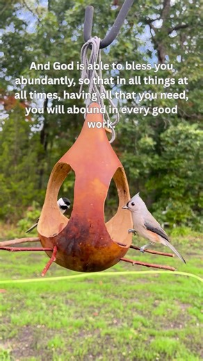 Luke 12:24 Consider the Birds