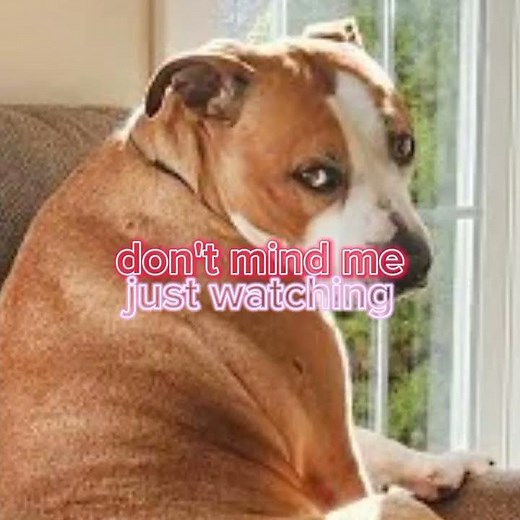 what's Poppin, don't mind me just watching😂🤣 #relatable #funny