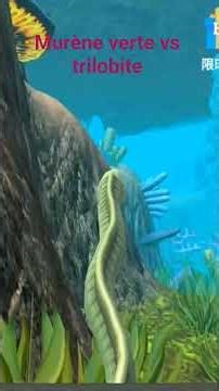 murène verte vs trilobite