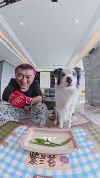 Delta's Smart Move: Green Belt Transformation Unveiled