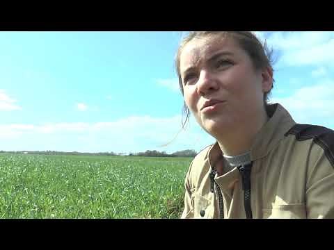 Bac Pro Conduite et Gestion de l'entreprise agricole