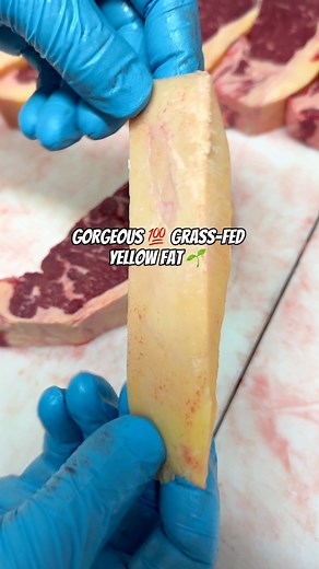 508K views · 1.5K reactions | Pasture raised Grass-fed NY Strips 數 #steaktips #wagyu #bostonfoodies #california #newengland #foodblogger #meatporn #foodporn #dinner #foodie #merrimackvalley #massachusetts #traeger #webergrills #biggreenegg #bbq #custom #burger #dryaged #steaklover #wagyubeef #baconbaconbacon | Alpine Butcher | Facebook