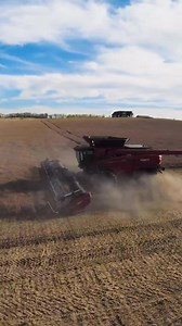 Case IH AF11 e MacDon 🇺🇸🇺🇸 #NewsAgricoltura | NewsAgricoltura