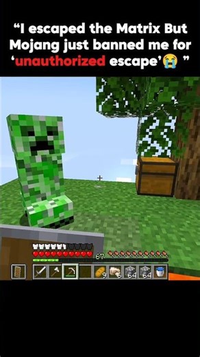 I Escaped the Matrix in Minecraft!