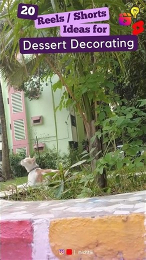 20 Reels | Shorts Ideas for Dessert Decorating