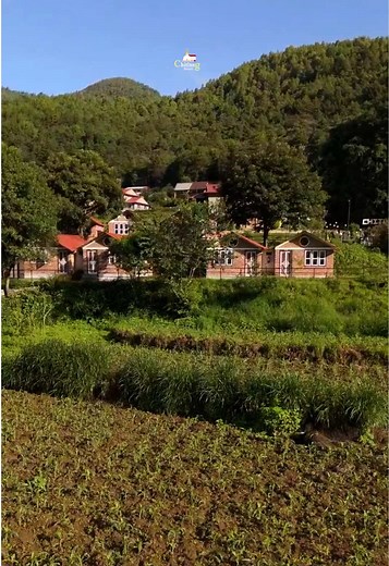#chitlangresort #foryou #chitlang #travalnepal #trending #TravelNepal #fyp #weekendgetaway #resort