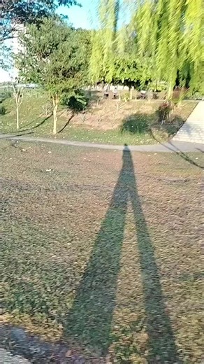 . briskwalk 🏃 #briskwalk #morningwalk #exercise #walkchallenge