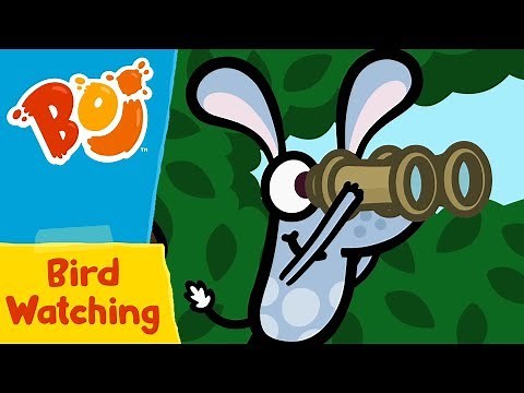 Boj - Bird Watching | Cartoons for Kids