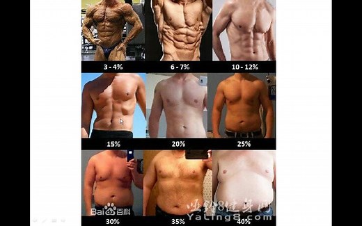 （干货）中文详细讲解健身、运动理论及原理-健身精华讲座，国内健身理论教学视频，健身、运动、瘦身原理讲述，健身注意事项概要